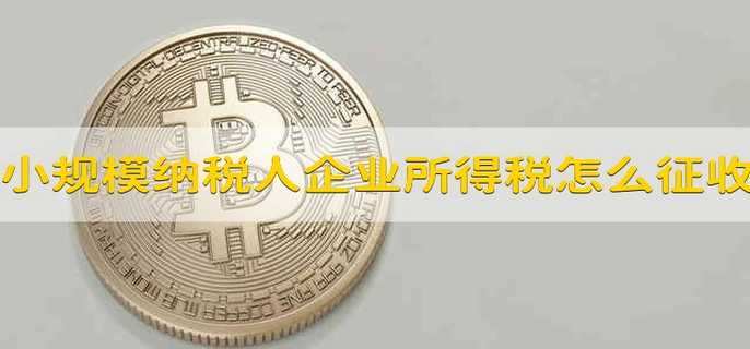 小规模纳税人企业所得税怎么征收