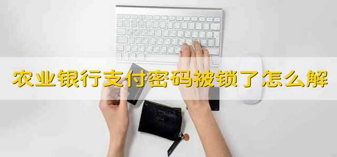 农业银行支付密码被锁定了,怎么解除