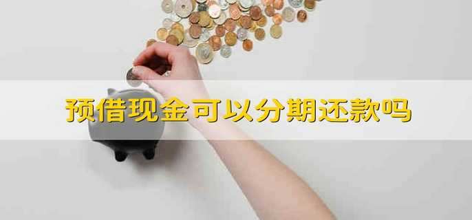 预借现金可以分期还款吗