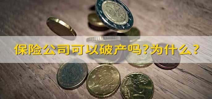 保险公司可以破产吗?为什么?