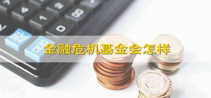 金融危机基金会怎样