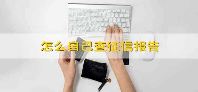 怎么自己查征信报告