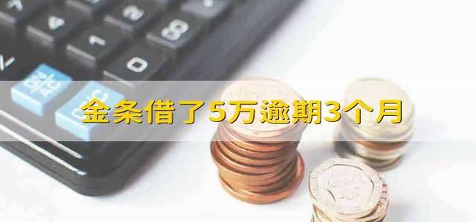 金条借了5万逾期3个月