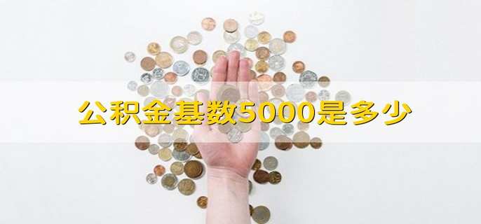 公积金基数5000是多少