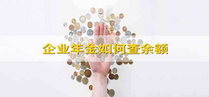 企业年金如何查余额