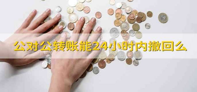 公对公转账能24小时内撤回么