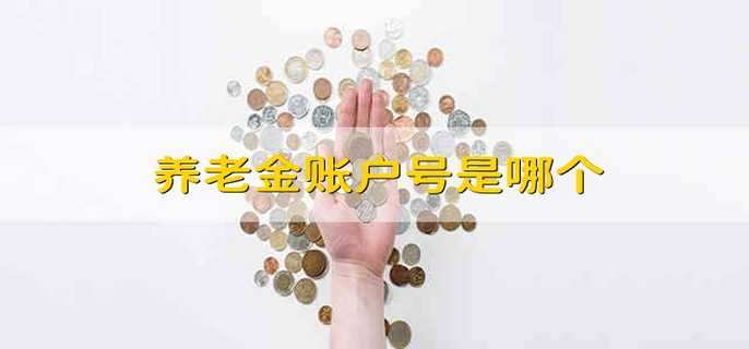 养老金账户号是哪个