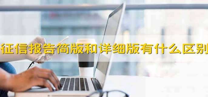 征信报告简版和详细版有什么区别