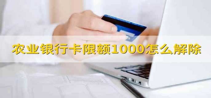 农业银行卡限额1000怎么解除