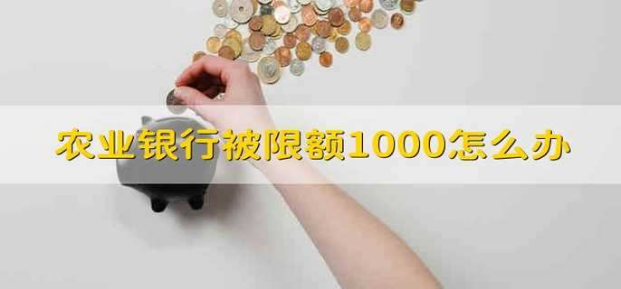 农业银行被限额1000怎么办