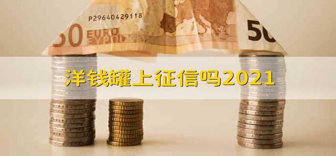 洋钱罐上征信吗2021