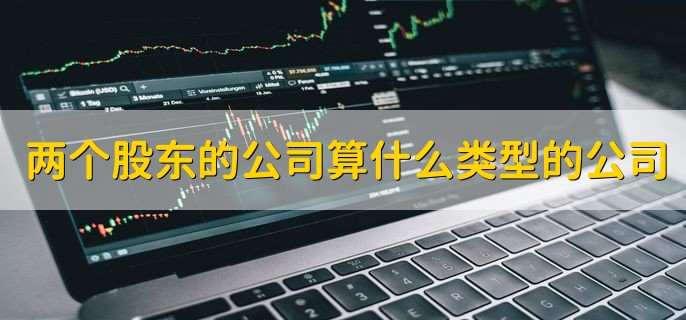 两个股东的公司算什么类型的公司