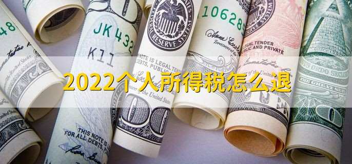 2022个人所得税怎么退