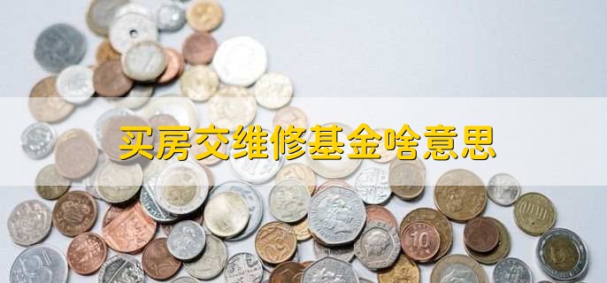 买房交维修基金啥意思