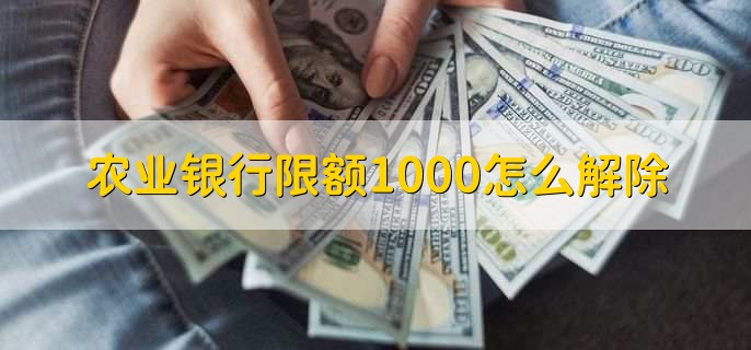 农业银行限额1000怎么解除