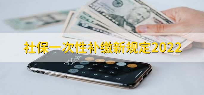 社保一次性补缴新规定2022，有以下两点