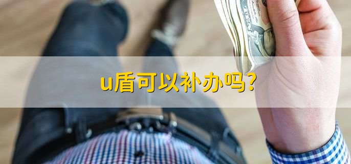 u盾可以补办吗?