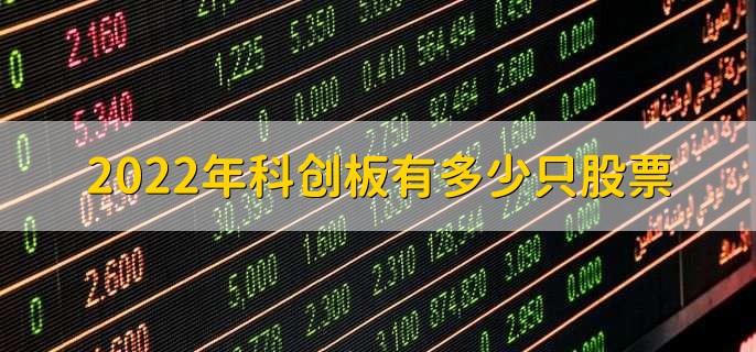 2022年科创板有多少只股票，431只