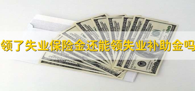 领了失业保险金还可以领失业补助金吗，不可以