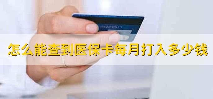 怎么能查到医保卡每月打入多少钱