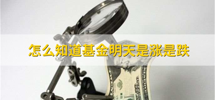 怎么知道基金明天是涨是跌