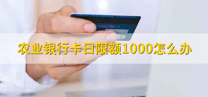 农业银行卡日限额1000怎么办