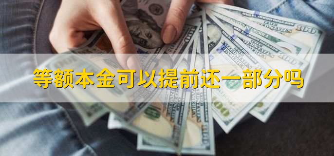 等额本金可以提前还一部分吗