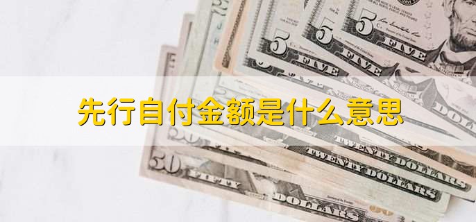 先行自付金额是什么意思