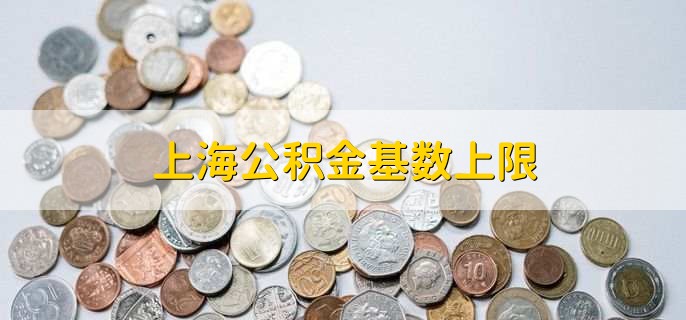 上海公积金基数上限