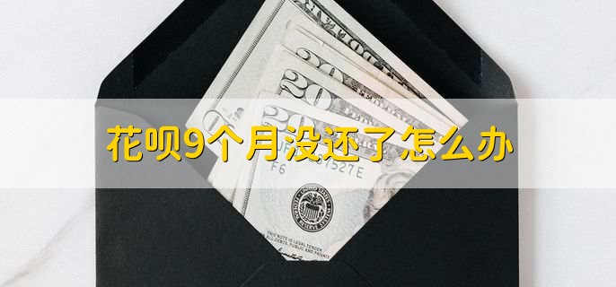 花呗9个月没还了怎么办