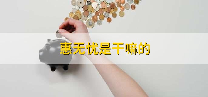 惠无忧是干嘛的