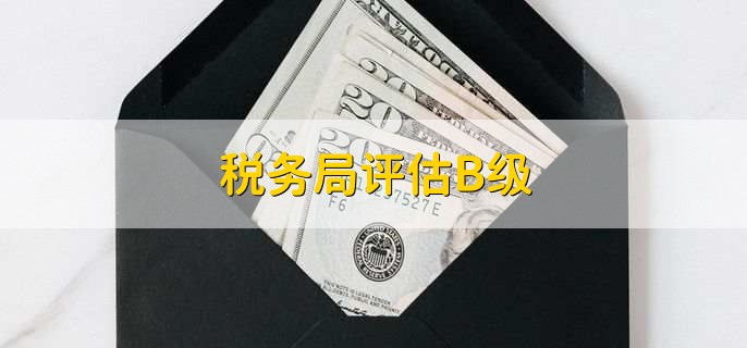 税务局评估B级