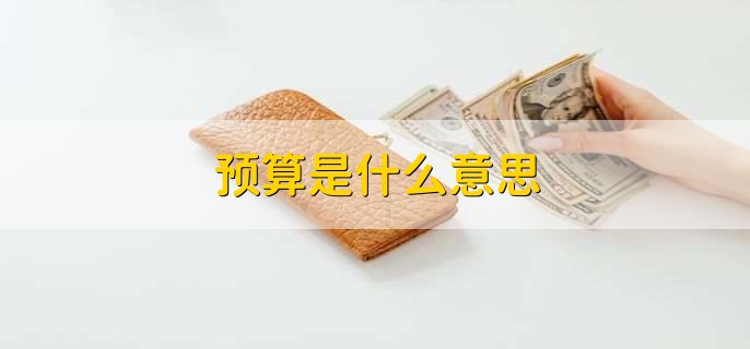 预算是什么意思