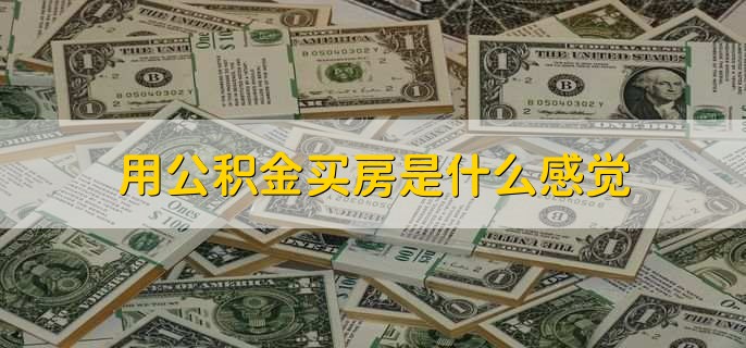 用公积金买房是什么感觉