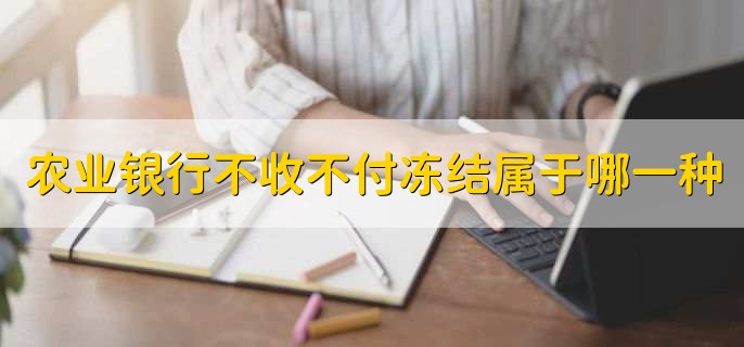 农业银行不收不付冻结属于哪一种