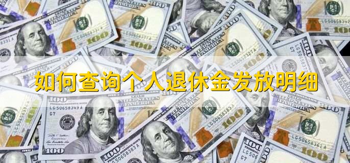 如何查询个人退休金发放明细