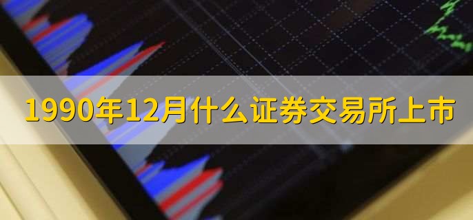 1990年12月什么证券交易所上市