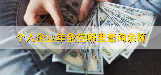 个人企业年金在哪里查询余额