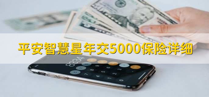 平安智慧星年交5000保险详细