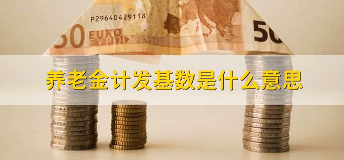 养老金计发基数是什么意思