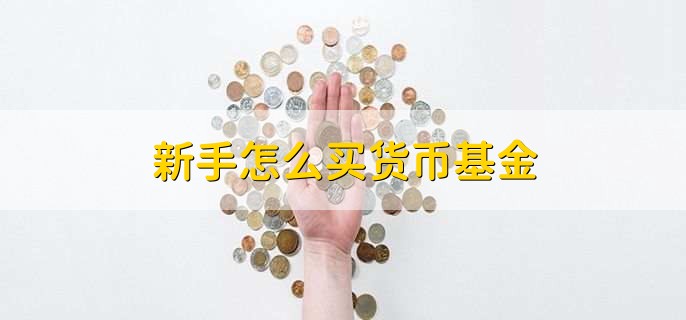 新手怎么买货币基金