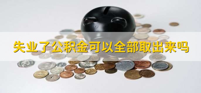 失业了公积金可以全部取出来吗