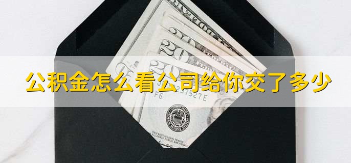 公积金怎么看公司给你交了多少