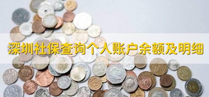 深圳社保查询个人账户余额及明细