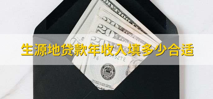 生源地贷款年收入填多少合适