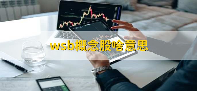 wsb概念股啥意思