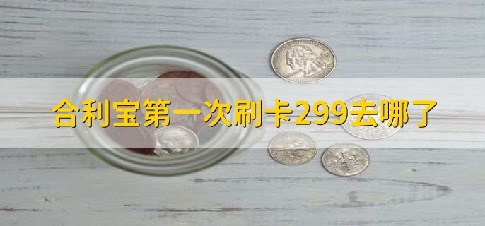 合利宝第一次刷卡299去哪了