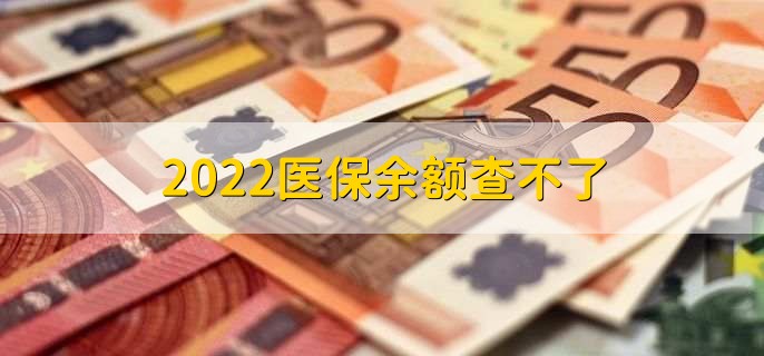 2022医保余额查不了