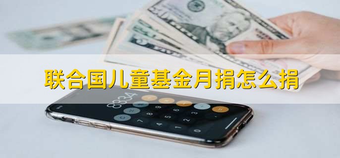 联合国儿童基金月捐怎么捐