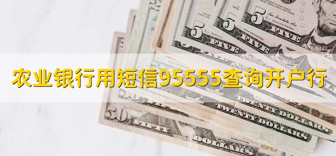 农业银行用短信95555查询开户行